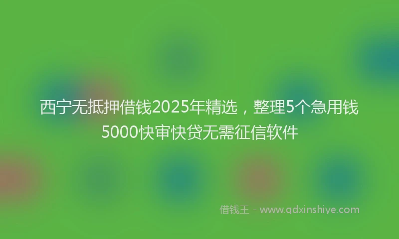 西宁无抵押借钱2025年精选，整理5个急用钱5000快审快贷无需征信软件