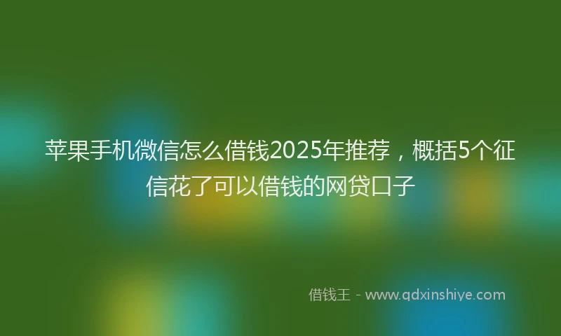 苹果手机微信怎么借钱2025年推荐，概括5个征信花了可以借钱的网贷口子