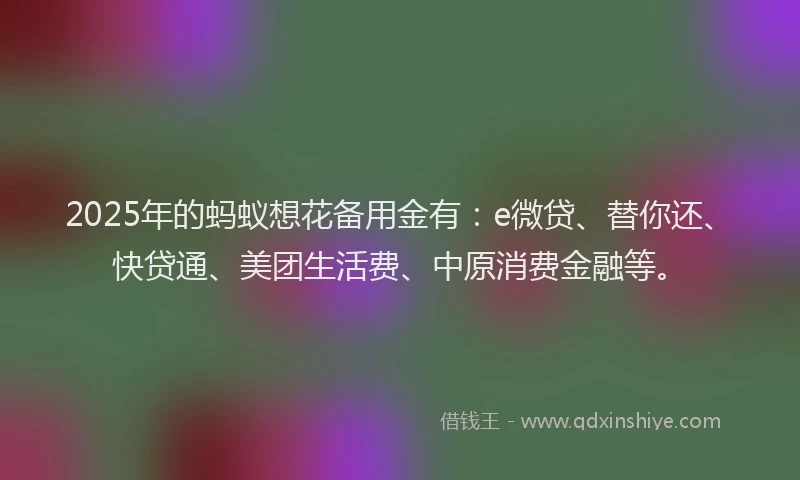 2025年的蚂蚁想花备用金有：e微贷、替你还、快贷通、美团生活费、中原消费金融等。