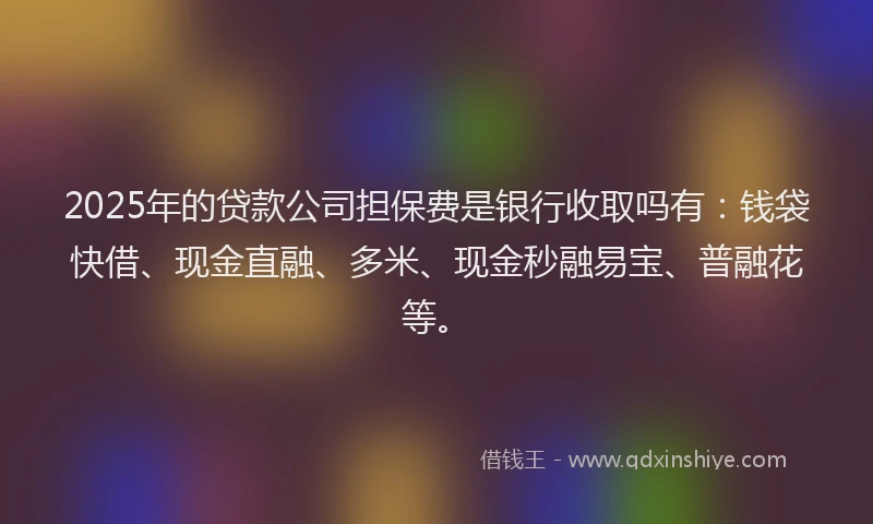 2025年的贷款公司担保费是银行收取吗有：钱袋快借、现金直融、多米、现金秒融易宝、普融花等。