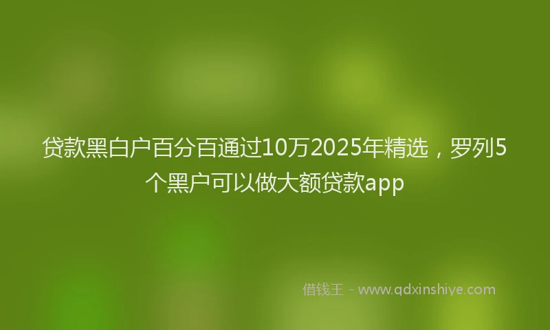 贷款黑白户百分百通过10万2025年精选，罗列5个黑户可以做大额贷款app