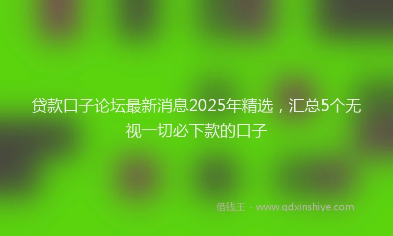 贷款口子论坛最新消息2025年精选，汇总5个无视一切必下款的口子