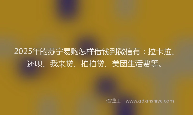 2025年的苏宁易购怎样借钱到微信有：拉卡拉、还呗、我来贷、拍拍贷、美团生活费等。