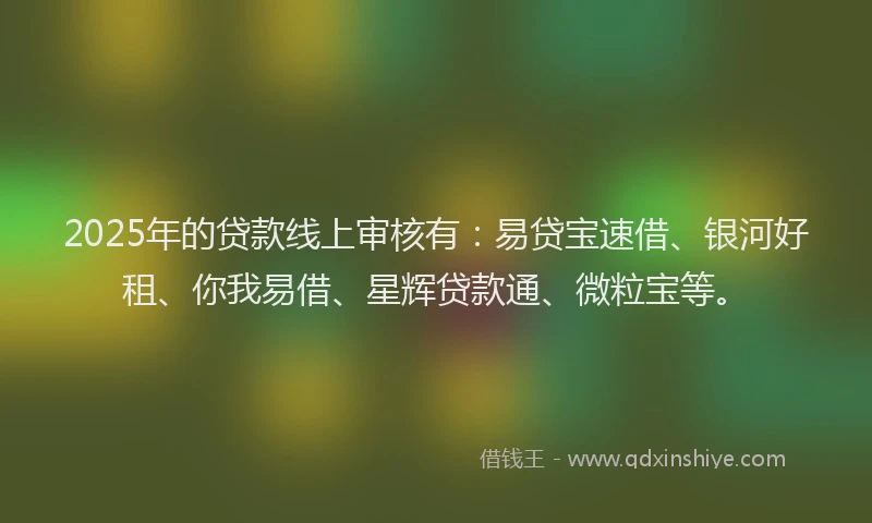 2025年的贷款线上审核有：易贷宝速借、银河好租、你我易借、星辉贷款通、微粒宝等。