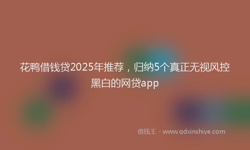 花鸭借钱贷2025年推荐，归纳5个真正无视风控黑白的网贷app
