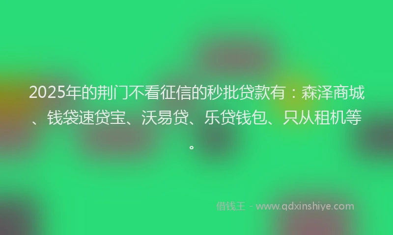 2025年的荆门不看征信的秒批贷款有：森泽商城、钱袋速贷宝、沃易贷、乐贷钱包、只从租机等。