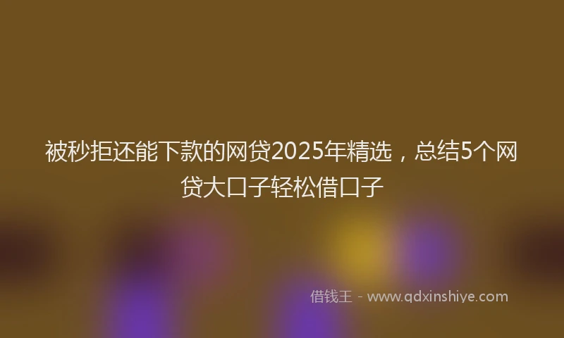 被秒拒还能下款的网贷2025年精选，总结5个网贷大口子轻松借口子