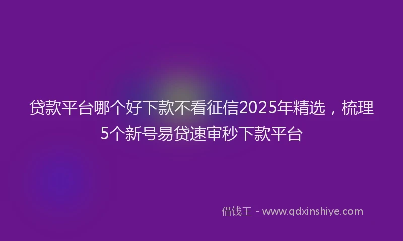 贷款平台哪个好下款不看征信2025年精选，梳理5个新号易贷速审秒下款平台