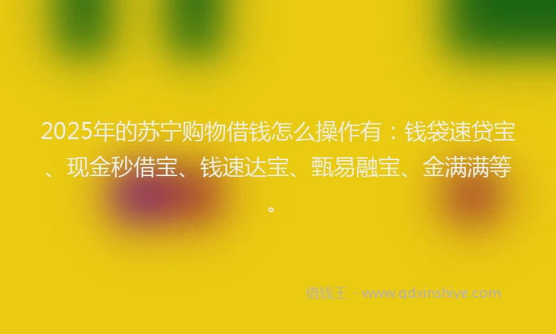 2025年的苏宁购物借钱怎么操作有：钱袋速贷宝、现金秒借宝、钱速达宝、甄易融宝、金满满等。