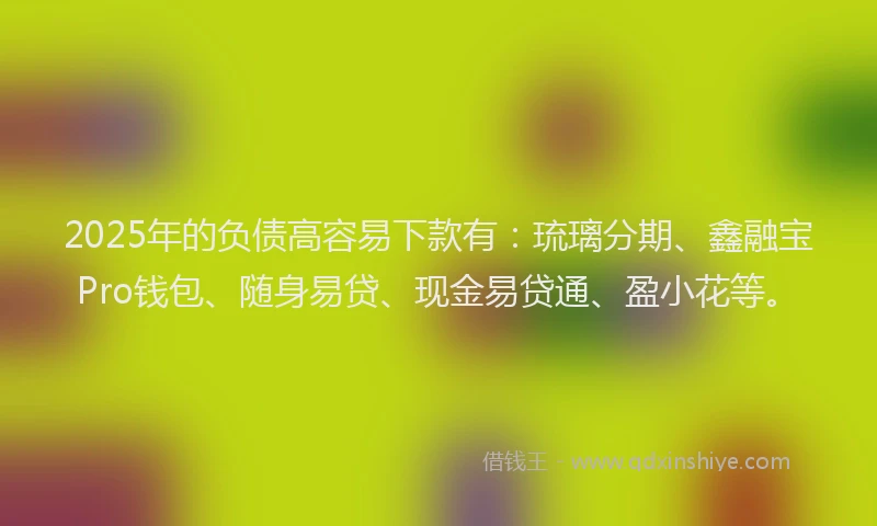 2025年的负债高容易下款有：琉璃分期、鑫融宝Pro钱包、随身易贷、现金易贷通、盈小花等。
