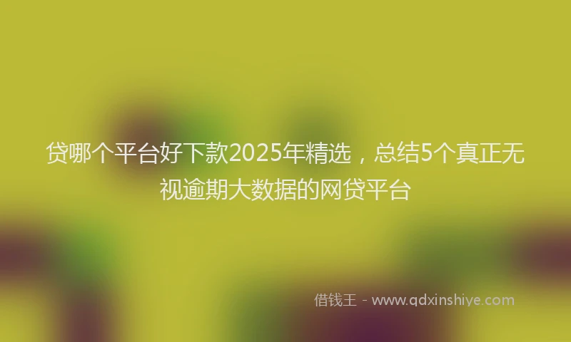 贷哪个平台好下款2025年精选，总结5个真正无视逾期大数据的网贷平台