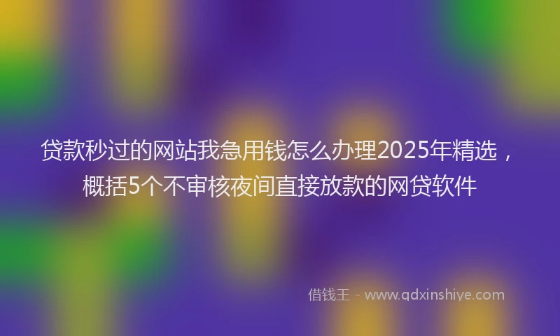 贷款秒过的网站我急用钱怎么办理2025年精选，概括5个不审核夜间直接放款的网贷软件
