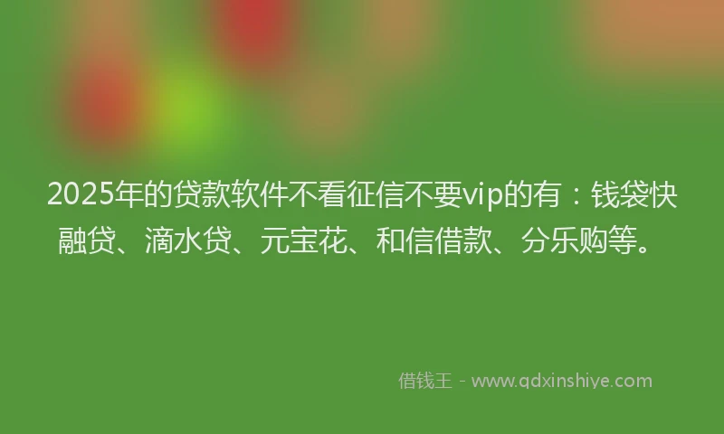 2025年的贷款软件不看征信不要vip的有：钱袋快融贷、滴水贷、元宝花、和信借款、分乐购等。