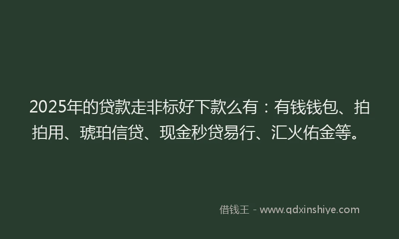 2025年的贷款走非标好下款么有：有钱钱包、拍拍用、琥珀信贷、现金秒贷易行、汇火佑金等。