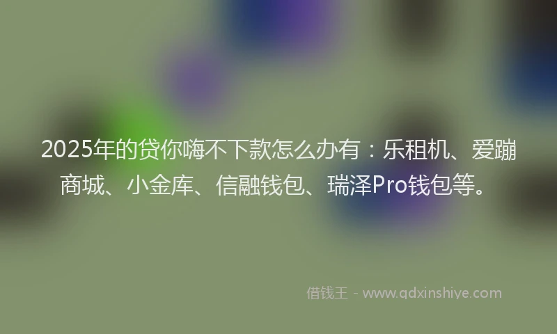 2025年的贷你嗨不下款怎么办有：乐租机、爱蹦商城、小金库、信融钱包、瑞泽Pro钱包等。