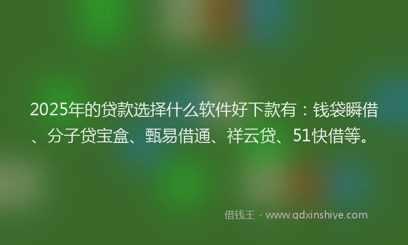 2025年的贷款选择什么软件好下款有：钱袋瞬借、分子贷宝盒、甄易借通、祥云贷、51快借等。