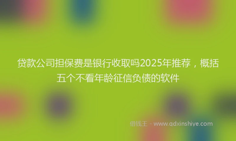 贷款公司担保费是银行收取吗2025年推荐，概括五个不看年龄征信负债的软件