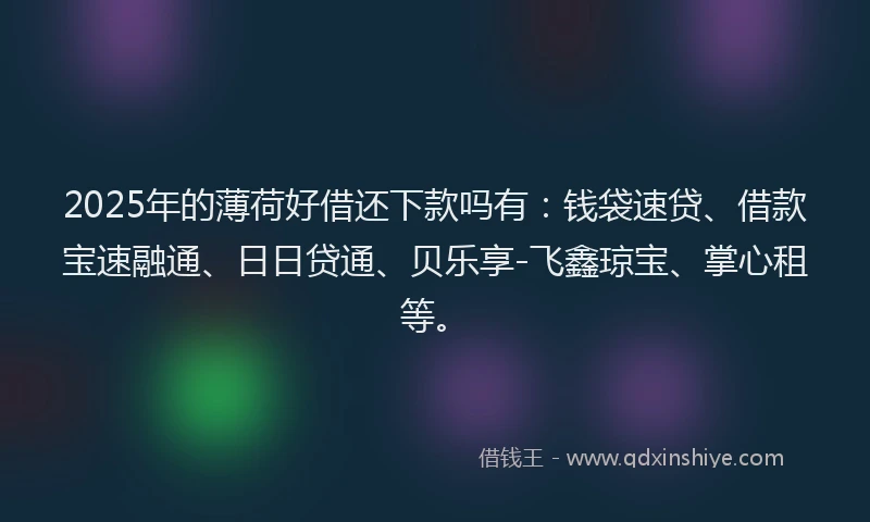 2025年的薄荷好借还下款吗有：钱袋速贷、借款宝速融通、日日贷通、贝乐享-飞鑫琼宝、掌心租等。
