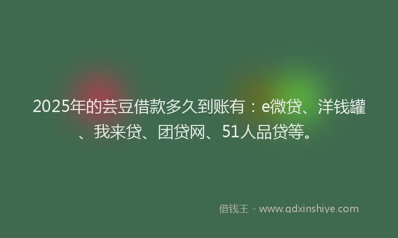 2025年的芸豆借款多久到账有：e微贷、洋钱罐、我来贷、团贷网、51人品贷等。