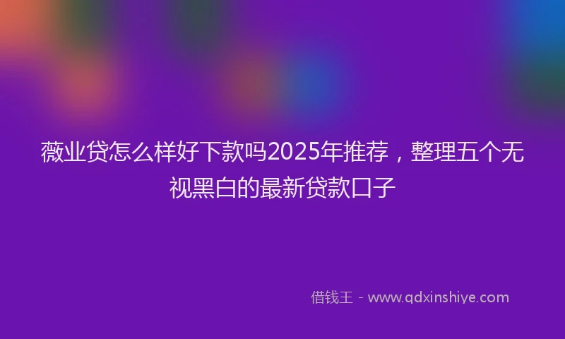 薇业贷怎么样好下款吗2025年推荐，整理五个无视黑白的最新贷款口子