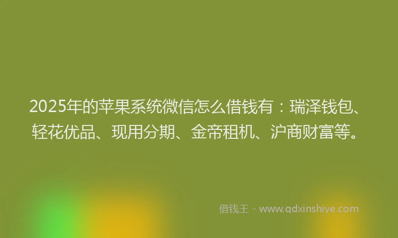 2025年的苹果系统微信怎么借钱有：瑞泽钱包、轻花优品、现用分期、金帝租机、沪商财富等。