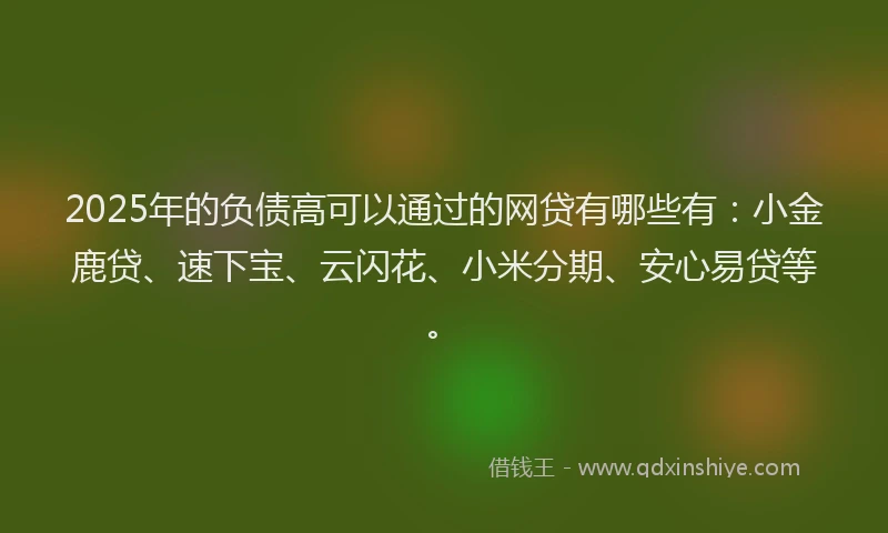 2025年的负债高可以通过的网贷有哪些有：小金鹿贷、速下宝、云闪花、小米分期、安心易贷等。
