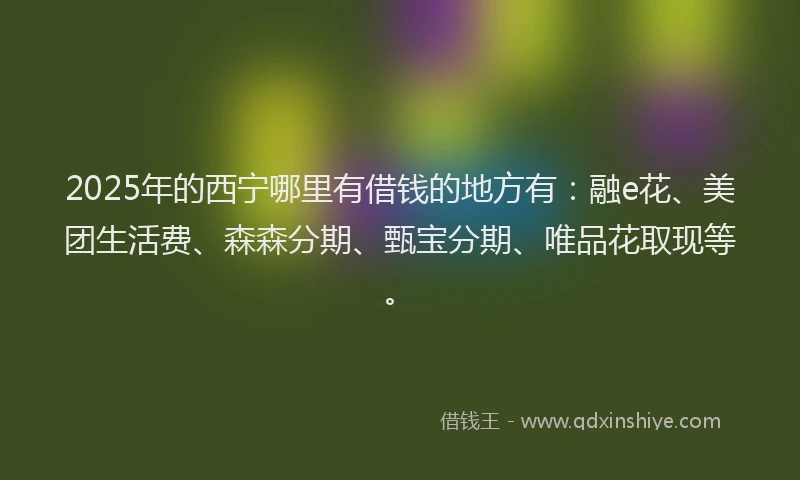 2025年的西宁哪里有借钱的地方有：融e花、美团生活费、森森分期、甄宝分期、唯品花取现等。