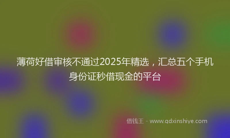 薄荷好借审核不通过2025年精选，汇总五个手机身份证秒借现金的平台