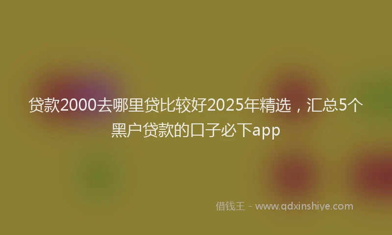 贷款2000去哪里贷比较好2025年精选，汇总5个黑户贷款的口子必下app