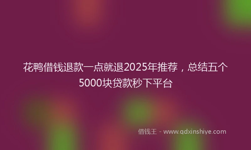 花鸭借钱退款一点就退2025年推荐，总结五个5000块贷款秒下平台
