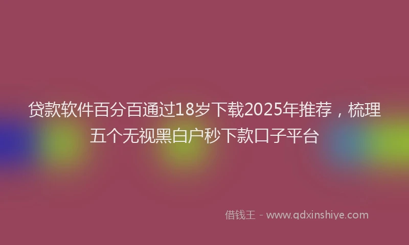 贷款软件百分百通过18岁下载2025年推荐，梳理五个无视黑白户秒下款口子平台