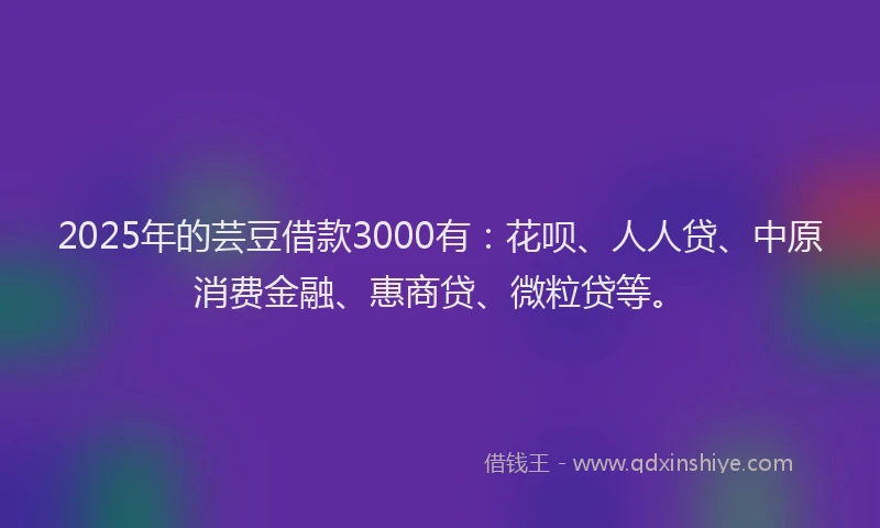 2025年的芸豆借款3000有：花呗、人人贷、中原消费金融、惠商贷、微粒贷等。