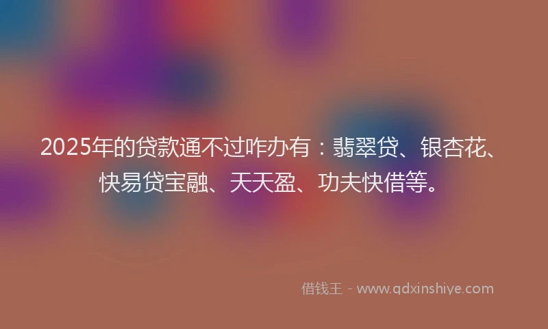 2025年的贷款通不过咋办有：翡翠贷、银杏花、快易贷宝融、天天盈、功夫快借等。