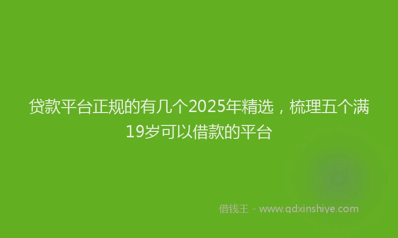 贷款平台正规的有几个2025年精选，梳理五个满19岁可以借款的平台