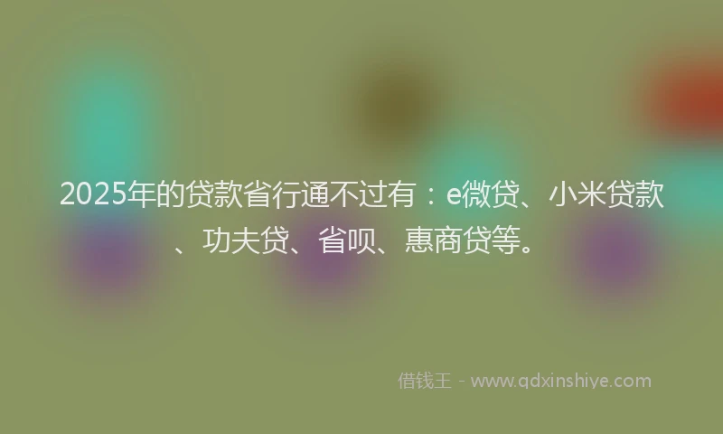 2025年的贷款省行通不过有：e微贷、小米贷款、功夫贷、省呗、惠商贷等。