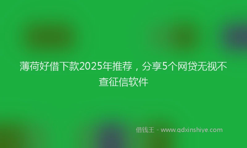薄荷好借下款2025年推荐，分享5个网贷无视不查征信软件