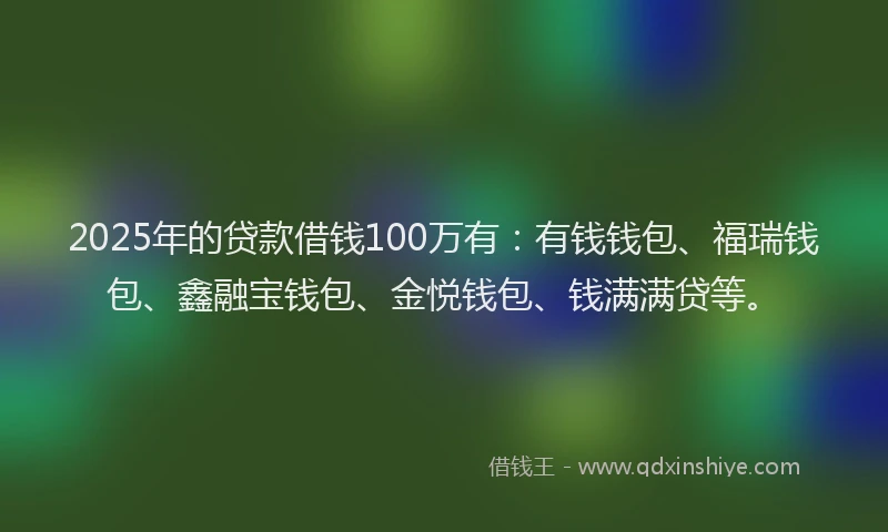 2025年的贷款借钱100万有：有钱钱包、福瑞钱包、鑫融宝钱包、金悦钱包、钱满满贷等。