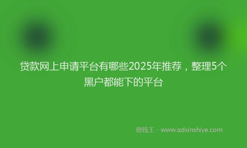 贷款网上申请平台有哪些2025年推荐，整理5个黑户都能下的平台