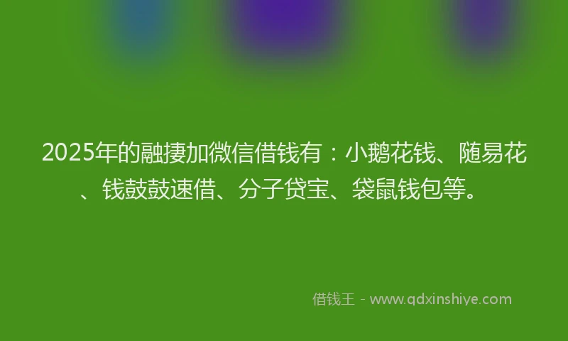 2025年的融捿加微信借钱有：小鹅花钱、随易花、钱鼓鼓速借、分子贷宝、袋鼠钱包等。