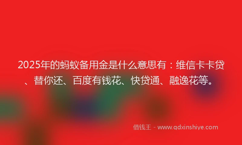 2025年的蚂蚁备用金是什么意思有：维信卡卡贷、替你还、百度有钱花、快贷通、融逸花等。