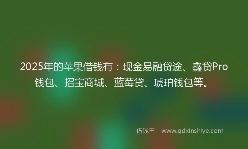 2025年的苹果借钱有：现金易融贷途、鑫贷Pro钱包、招宝商城、蓝莓贷、琥珀钱包等。