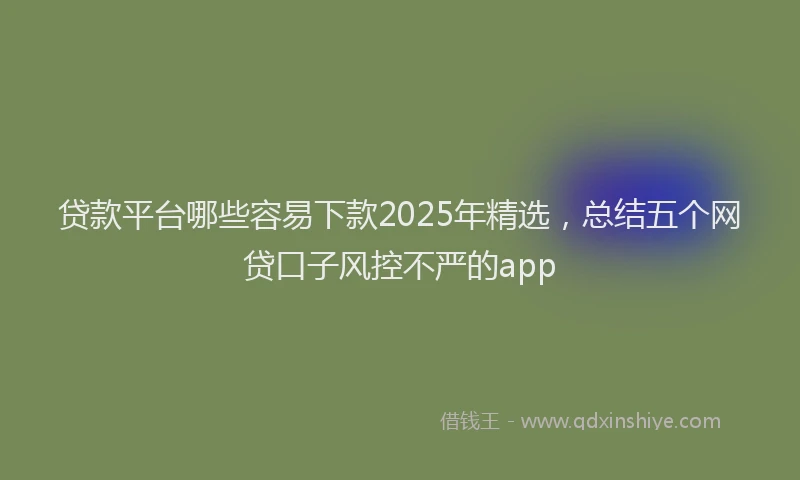 贷款平台哪些容易下款2025年精选，总结五个网贷口子风控不严的app