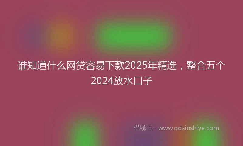 谁知道什么网贷容易下款2025年精选，整合五个2024放水口子