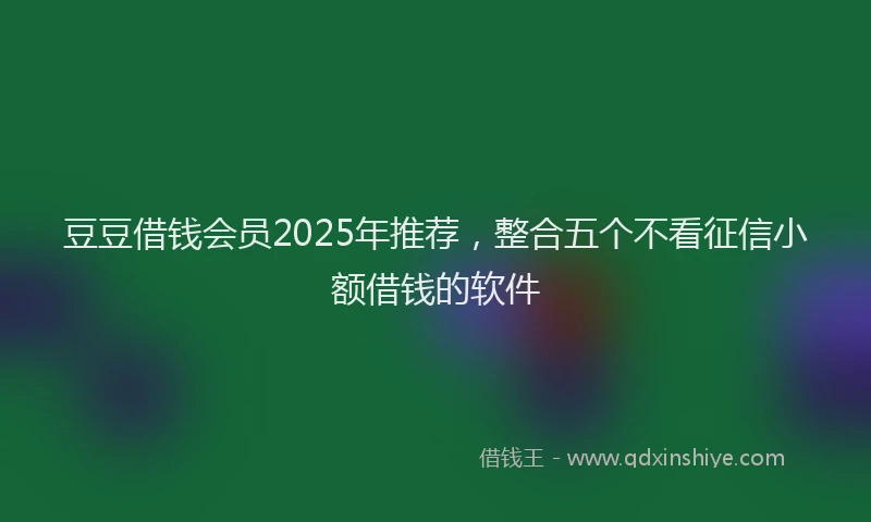 豆豆借钱会员2025年推荐，整合五个不看征信小额借钱的软件