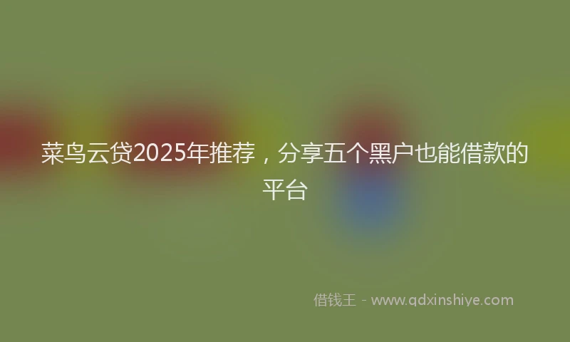 菜鸟云贷2025年推荐，分享五个黑户也能借款的平台