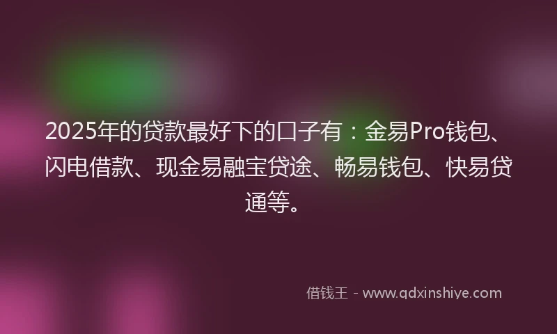 2025年的贷款最好下的口子有：金易Pro钱包、闪电借款、现金易融宝贷途、畅易钱包、快易贷通等。