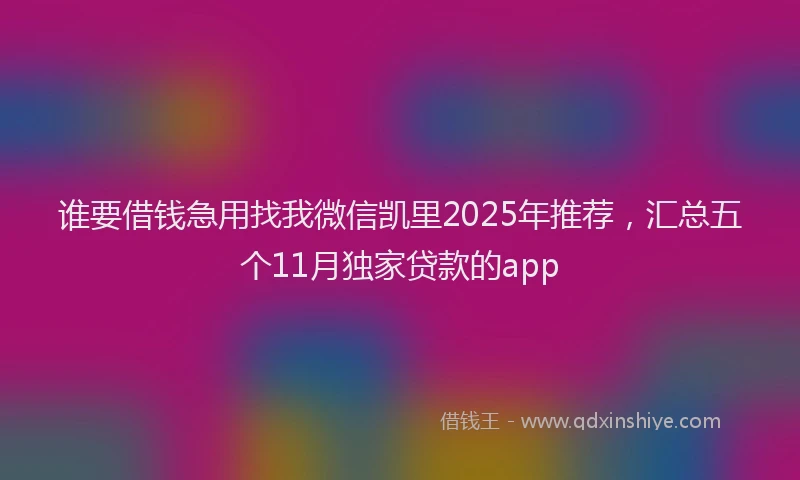 谁要借钱急用找我微信凯里2025年推荐，汇总五个11月独家贷款的app