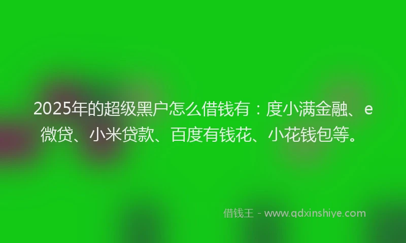 2025年的超级黑户怎么借钱有：度小满金融、e微贷、小米贷款、百度有钱花、小花钱包等。