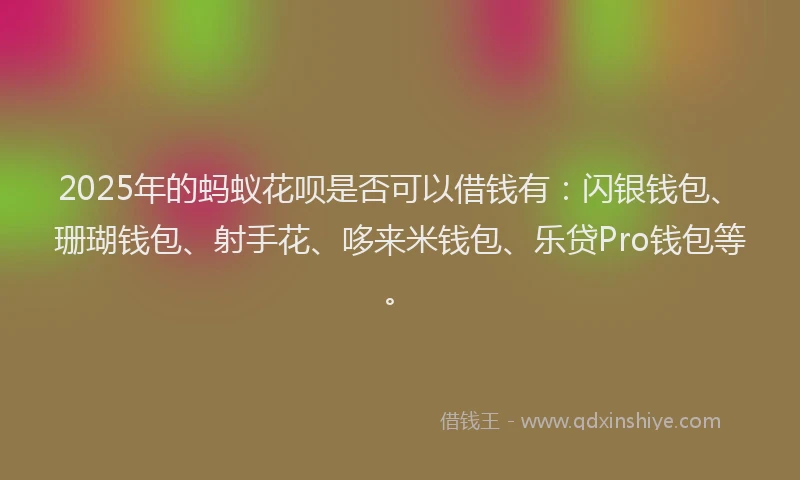 2025年的蚂蚁花呗是否可以借钱有：闪银钱包、珊瑚钱包、射手花、哆来米钱包、乐贷Pro钱包等。
