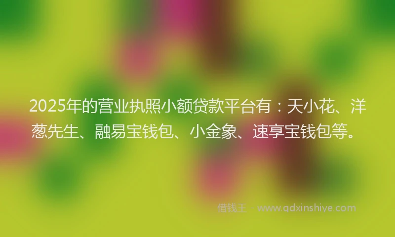 2025年的营业执照小额贷款平台有：天小花、洋葱先生、融易宝钱包、小金象、速享宝钱包等。